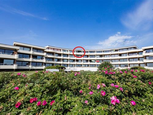 Ferieleilighet - 4 personer -  - Gmelinstraße - 25938 - Wyk Auf Föhr