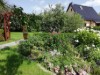 Bild 19
