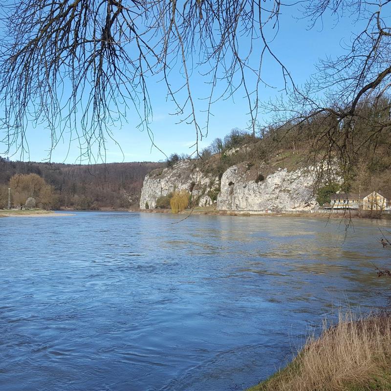 Ferielejlighed - 3 personer -  - Asamstraße - 93309 - Kelheim