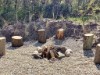 Bild 8 - Ude