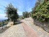 Bild 21 - Ude