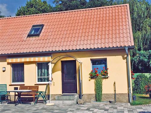 Ferienhaus - 5 Personen -  - Oberreihe - 17440 - Kröslin / Freest