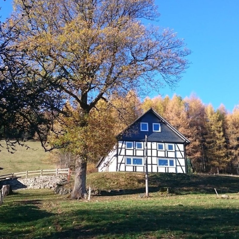 Sommerhus - 8 personer -  - 57392 - Schmallenberg-Gellinghausen