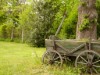 Billede 20
