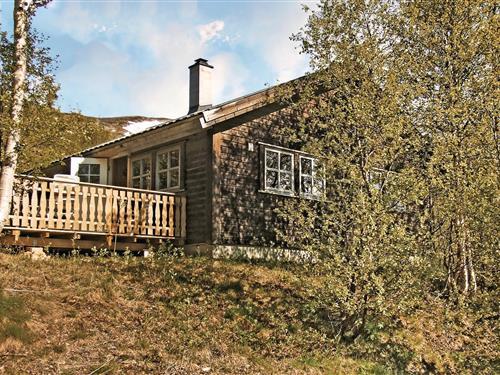 Holiday Home/Apartment - 12 persons -  - Ustedalen - 3580 - Geilo