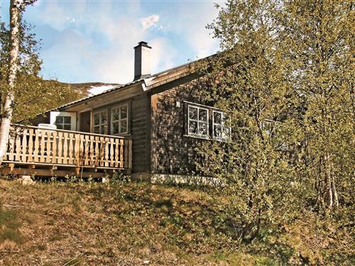 Sommerhus - 12 personer -  - Ustedalen - 3580 - Geilo