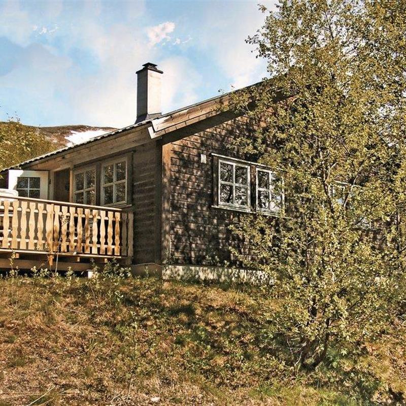 Sommerhus - 12 personer -  - Ustedalen - 3580 - Geilo