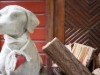 Bild 9