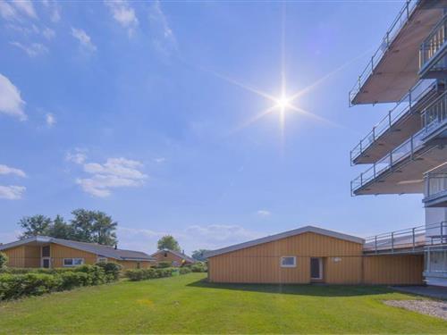 Feriehus - 3 personer -  - 17248 - Rechlin