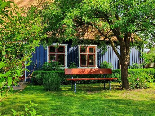 Feriehus - 4 personer -  - Ende - 17375 - Ahlbeck