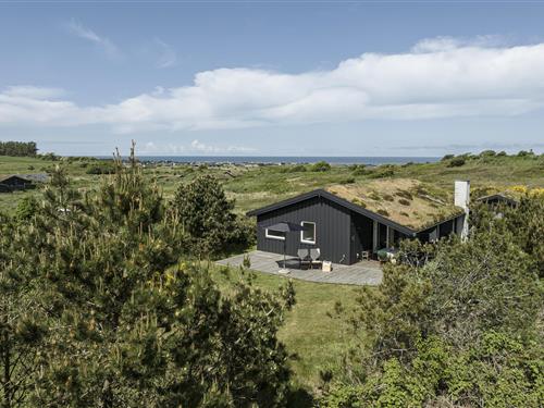 Sommerhus - 6 personer -  - Anneksvej 20, Skallerup - Skallerup Klit - 9800 - Hjørring