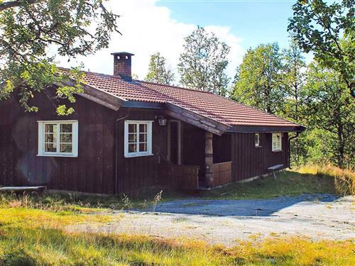  - 6 personer -  - Trondrudmarka - 3540 - Nesbyen