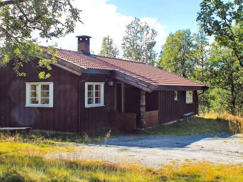  - 6 persons -  - Trondrudmarka - 3540 - Nesbyen