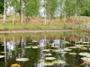 Image 19 - View of water