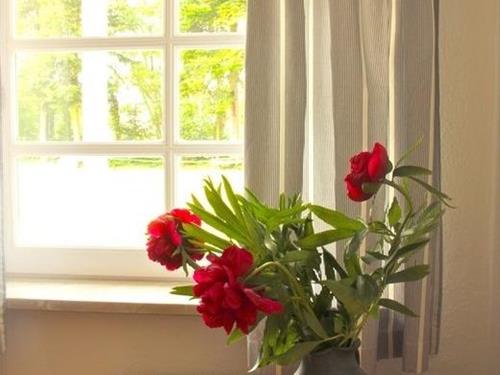 Ferieleilighet - 2 personer -  - Achter't Holt - 23747 - Dahme