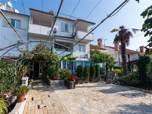 Ferieleilighet - 3 personer -  - A. Motovunjanina - 52210 - Rovinj