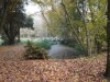 Bilde 2