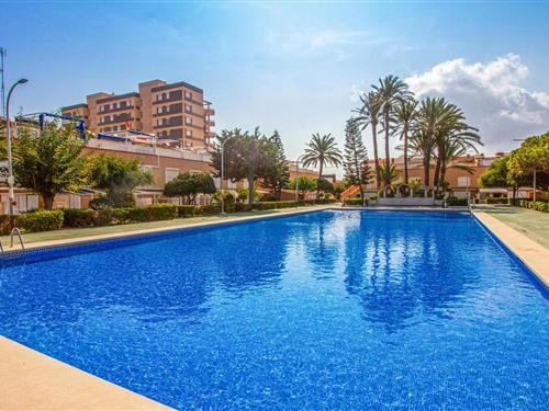 Sommerhus - 4 personer -  - Camino Dársena, Apto Galupe - 30380 - La Manga