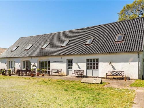 Ferienwohnung - 10 Personen -  - Gammel Vråvej - Blokhus - 9382 - Tylstrup