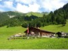 Bild 31