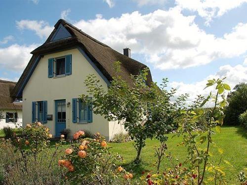 Ferienhaus - 6 Personen -  - Zum Reetmoor - 23999 - Schwarzer Busch