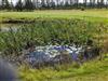 Billede 8 - Udsigt over vand