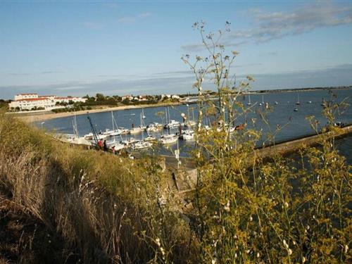 Ferielejlighed - 8 personer -  - 17450 - Fouras