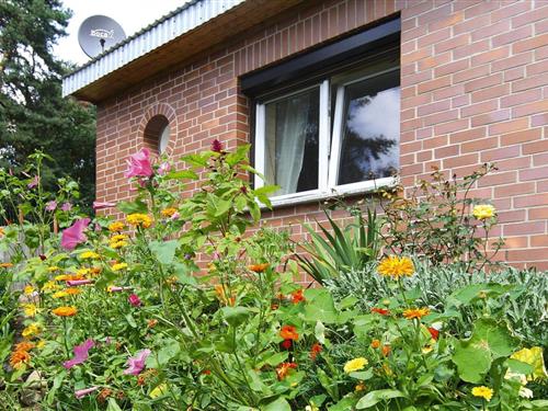 Fritidshus - 2 personer -  - 17258 - Feldberger Seenlandschaft