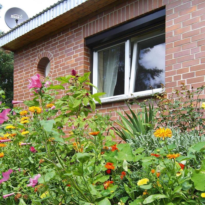 Sommerhus - 2 personer -  - 17258 - Feldberger Seenlandschaft