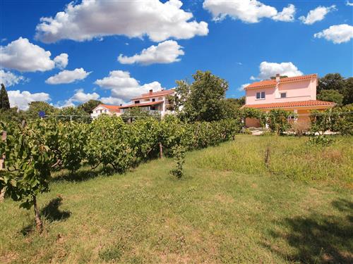 Ferielejlighed - 6 personer -  - Fažana - 52212