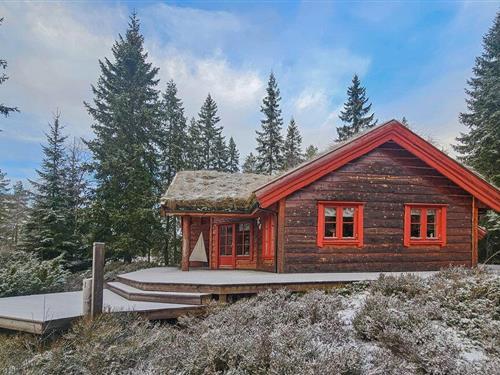 Holiday home - 10 persons -  - Langevannslia - Skrim - 3277 - Steinsholt