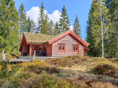 Ferienhaus - 10 Personen -  - Langevannslia - Skrim - 3277 - Steinsholt