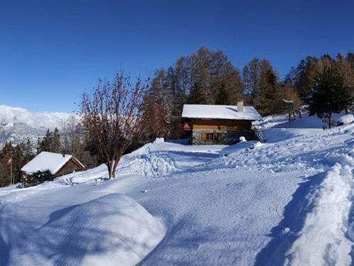 Semesterhus/Semesterlägenhet - 8 personer -  - Route des Mayens des Combes - 1993 - Veysonnaz