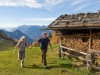 Billede 24