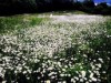 Bild 17 - Aussen