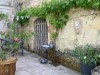 Image 15
