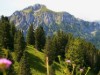 Bild 32