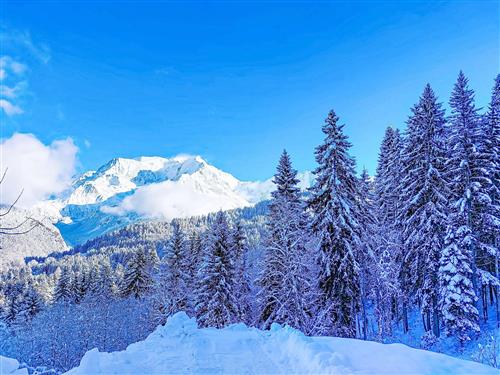 Holiday apartment - 4 persons -  - Saint Gervais - 74170