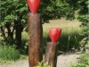 Bild 15