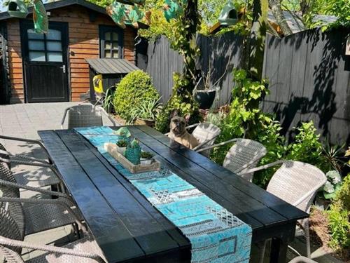 Ferienhaus - 4 Personen -  - Zeeweg 2 a - 1753 BB - Sint Maartensvlotbrug