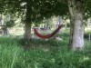 Bilde 5