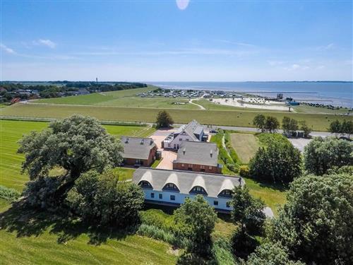 Ferieleilighet - 7 personer -  - Tossenser Deich - 26969 - Butjadingen / Tossens