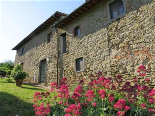 Ferieleilighet - 2 personer -  - Greve In Chianti - 50022