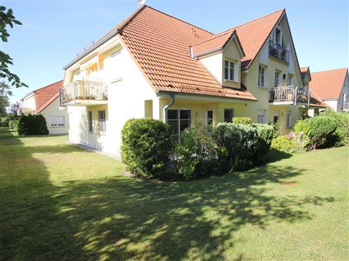 Holiday apartment - 4 persons -  - Schmiedestraße - 18347 - Wustrow