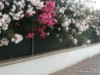 Image 17 - Outside