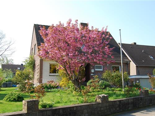 Ferieleilighet - 2 personer -  - Lütjenburger Weg - 23774 - Heiligenhafen