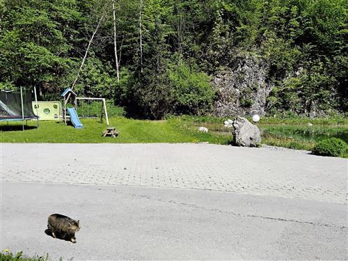 Semesterhus/Semesterlägenhet - 4 personer -  - Sulzen - 83324 - Ruhpolding