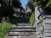 Bilde 2