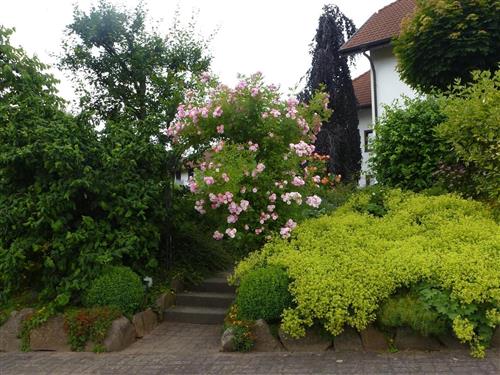 Ferieleilighet - 4 personer -  - Drei-Buchen-Weg - 36115 - Hilders