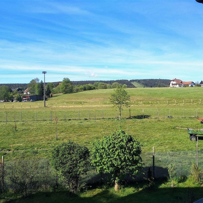 Ferielejlighed - 2 personer -  - Kemnather Straße - 95694 - Mehlmeisel